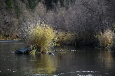 DSC_0225 (Large).JPG